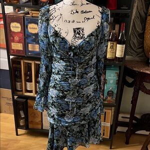 Wayf Blue Floral Long Sleeve Dress